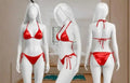 Silk Plain Comfortable And Lightweight Bikini Set / Swimwear For Girls / Bra & Panty